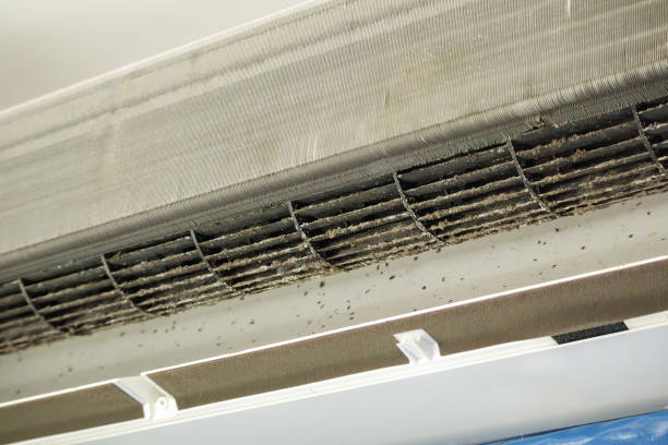 Best HVAC Duct Inspection Services  in Stanley, ND